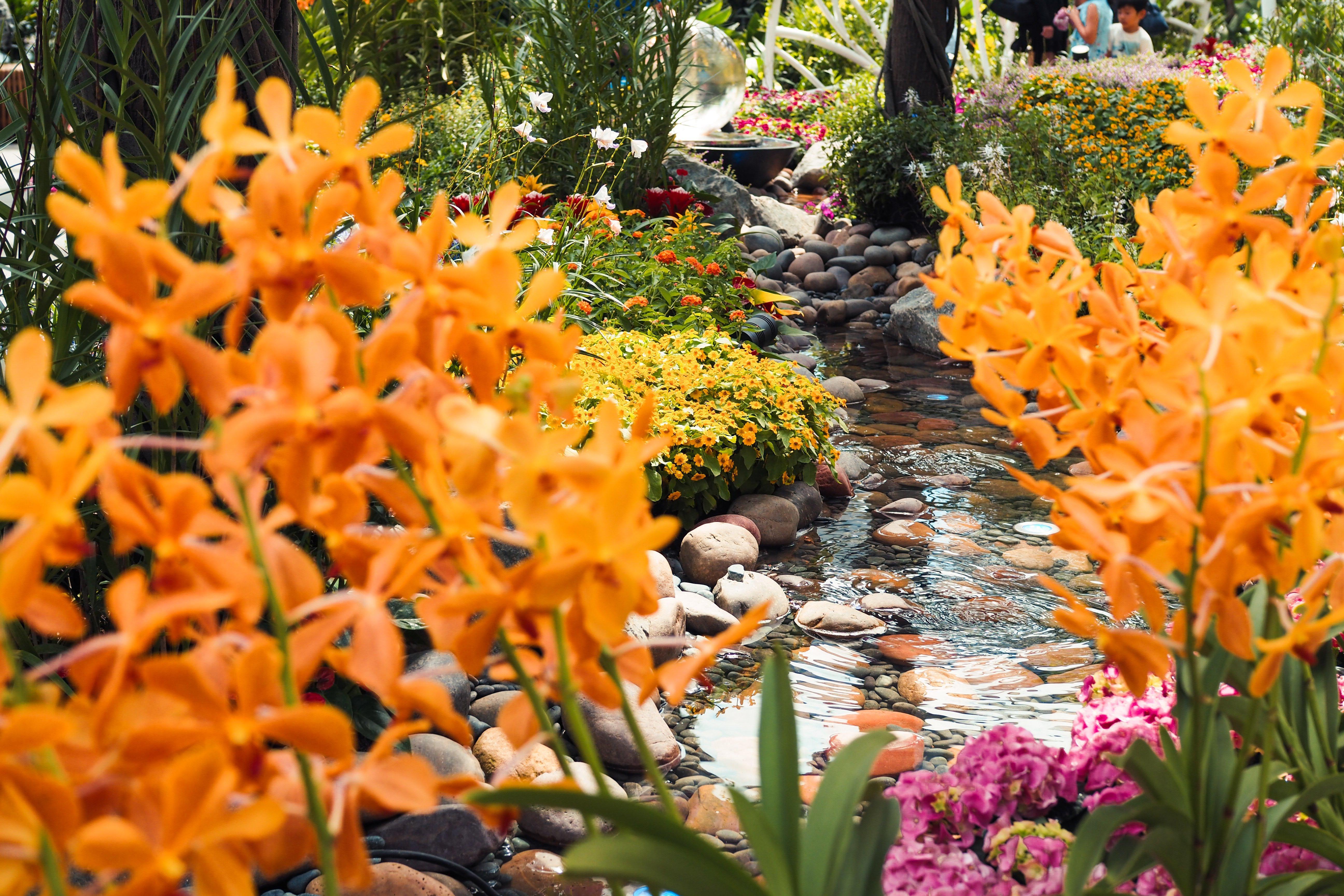 Crowne Plaza Changi Airport By Ihg Singapore Exterior photo The photo depicts a vibrant garden setting filled with an array of colorful flowers and greenery. In the foreground, there are striking orange flowers, which are surrounded by lush foliage. A winding stream can be seen, with smooth stones lining its 