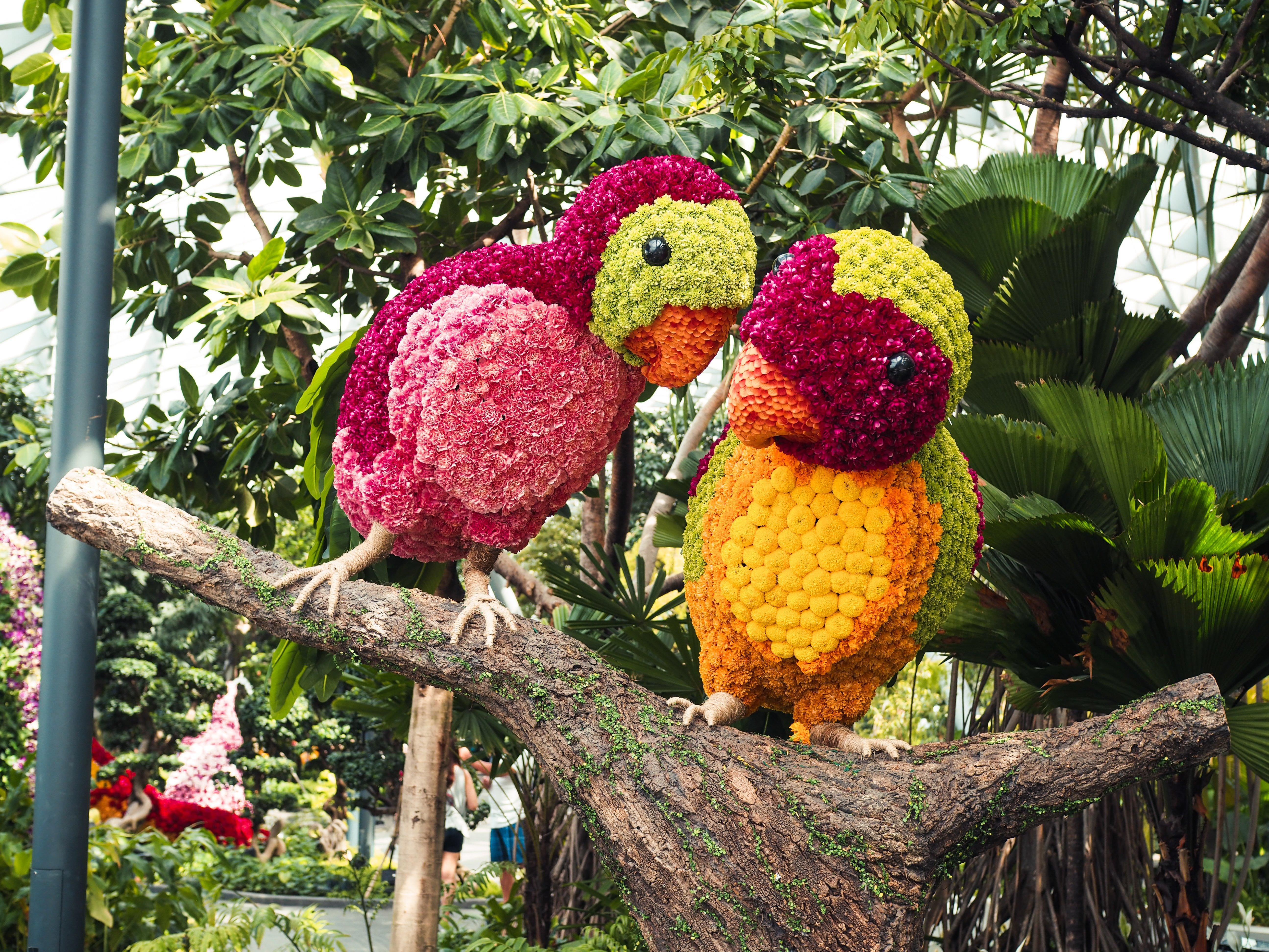 Crowne Plaza Changi Airport By Ihg Singapore Exterior photo The photo shows two vibrant and colorful bird sculptures made from various flowers. They are perched on a branch, surrounded by lush green foliage. The birds feature bright pink, green, and orange hues, resembling tropical birds. The artistic arrange