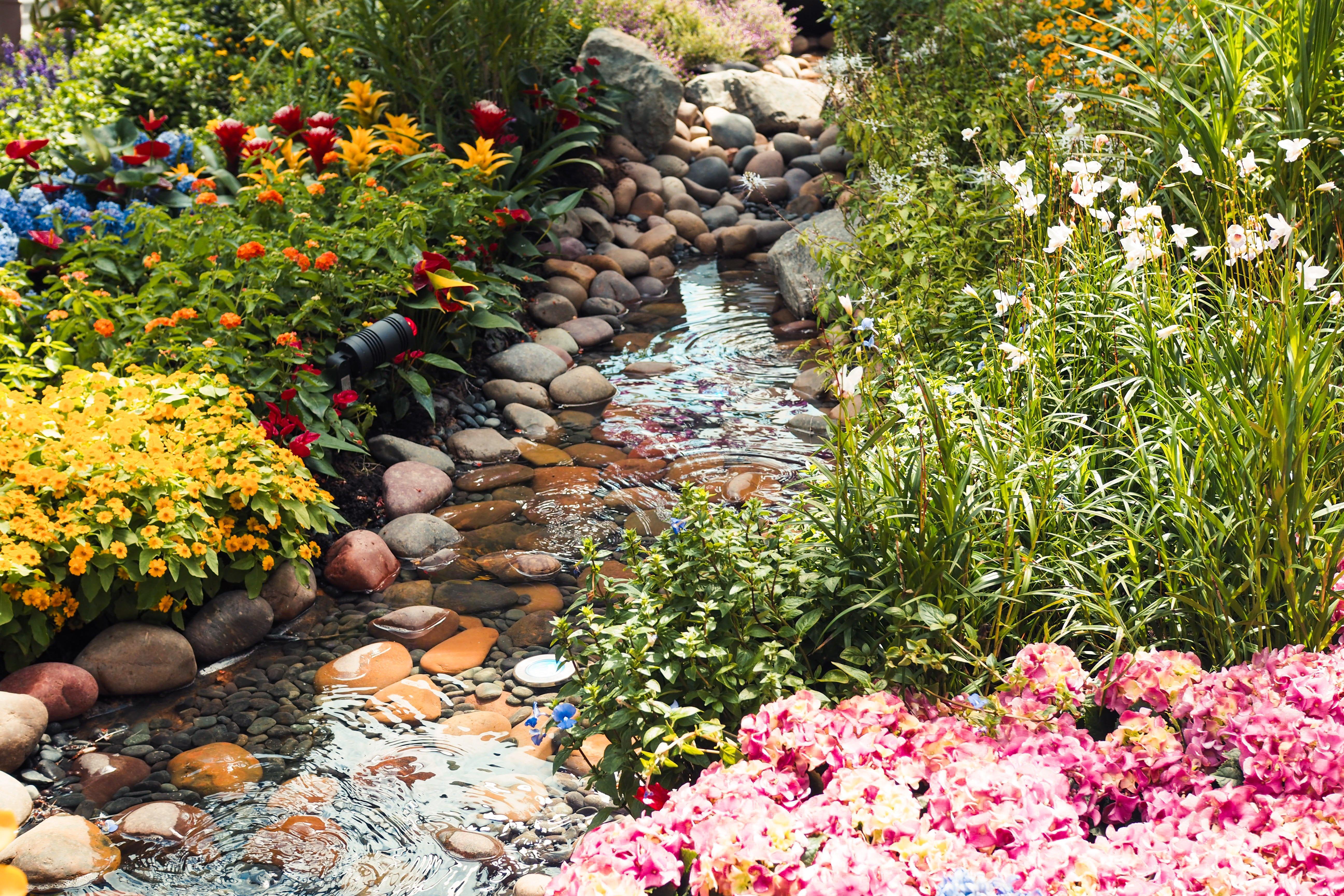 Crowne Plaza Changi Airport By Ihg Singapore Exterior photo The photo depicts a serene garden scene featuring a small, gently flowing stream meandering through an array of colorful flowers and plants. On either side of the stream, vibrant blooms can be seen, including clusters of yellow and pink flowers, alon
