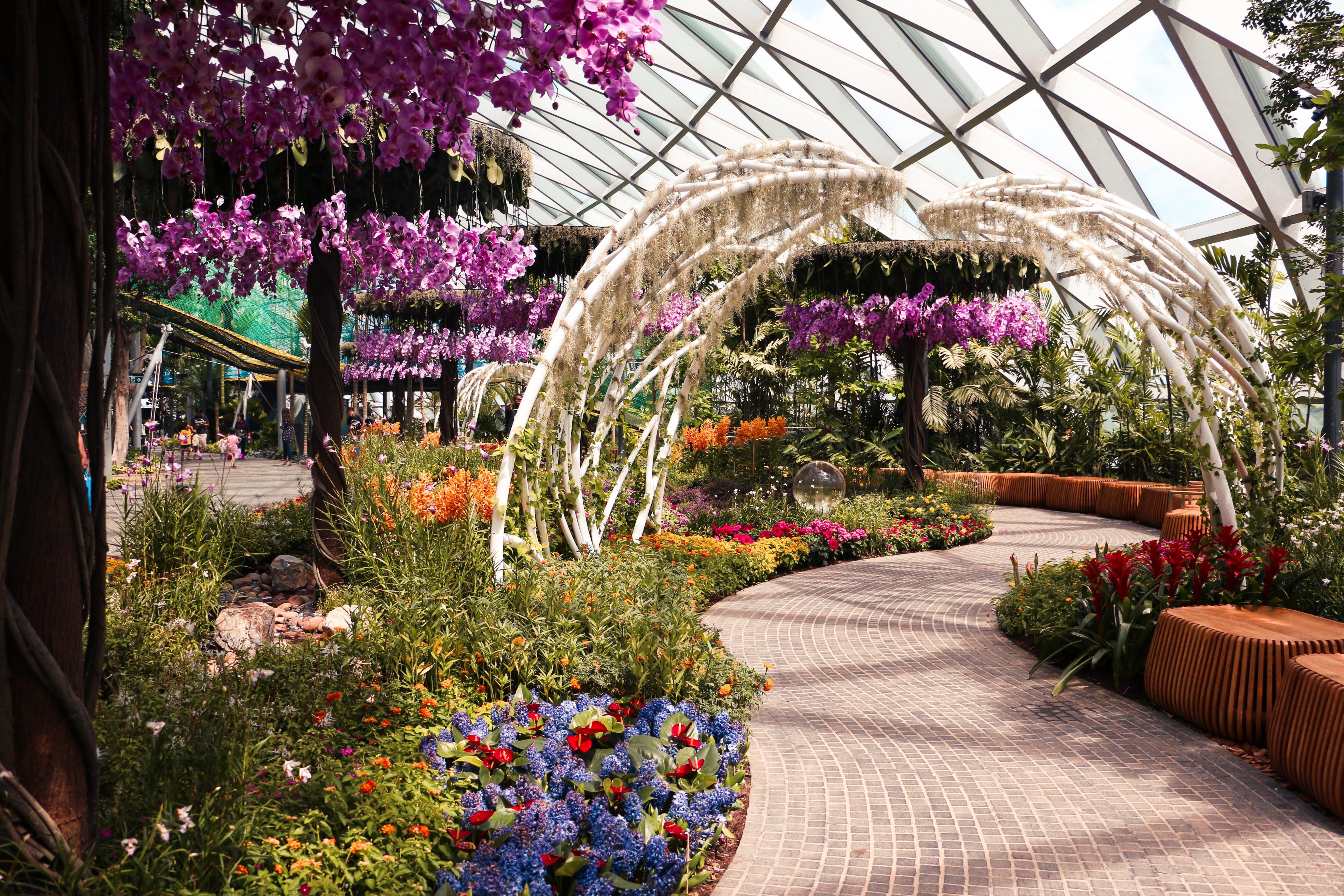 Crowne Plaza Changi Airport By Ihg Singapore Exterior photo The photo depicts a beautiful indoor garden featuring vibrant flowers and lush greenery. The scene includes colorful floral arrangements, notably with purple orchids hanging from the ceiling. A winding path made of stone leads through the garden, fla