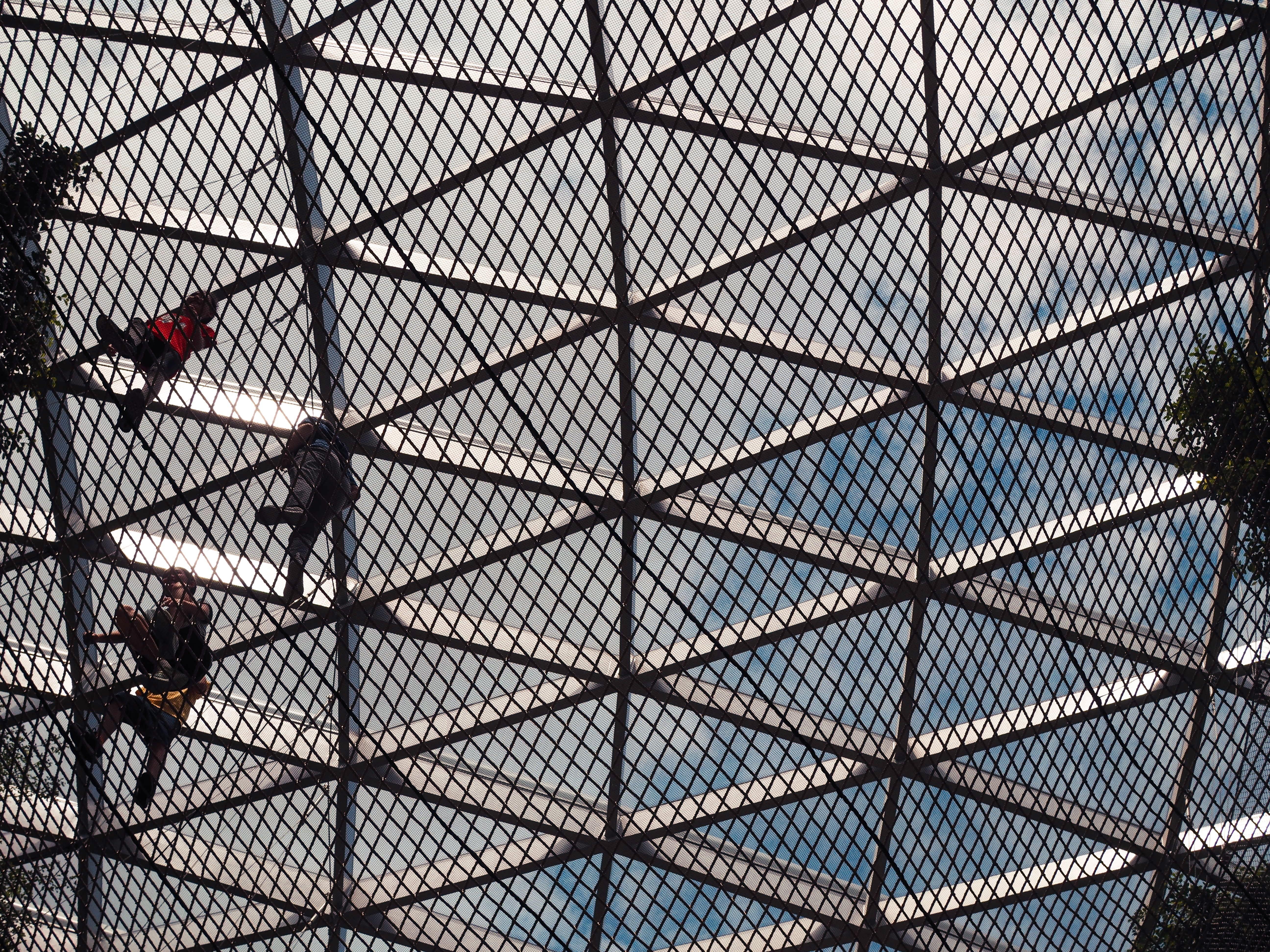 Crowne Plaza Changi Airport By Ihg Singapore Exterior photo The photo shows a view of a grid-like structure from below, likely a climbing or netting installation. There are a few individuals visible, appearing to be climbing or navigating the net. The sky can be seen above through the gaps in the grid, which 