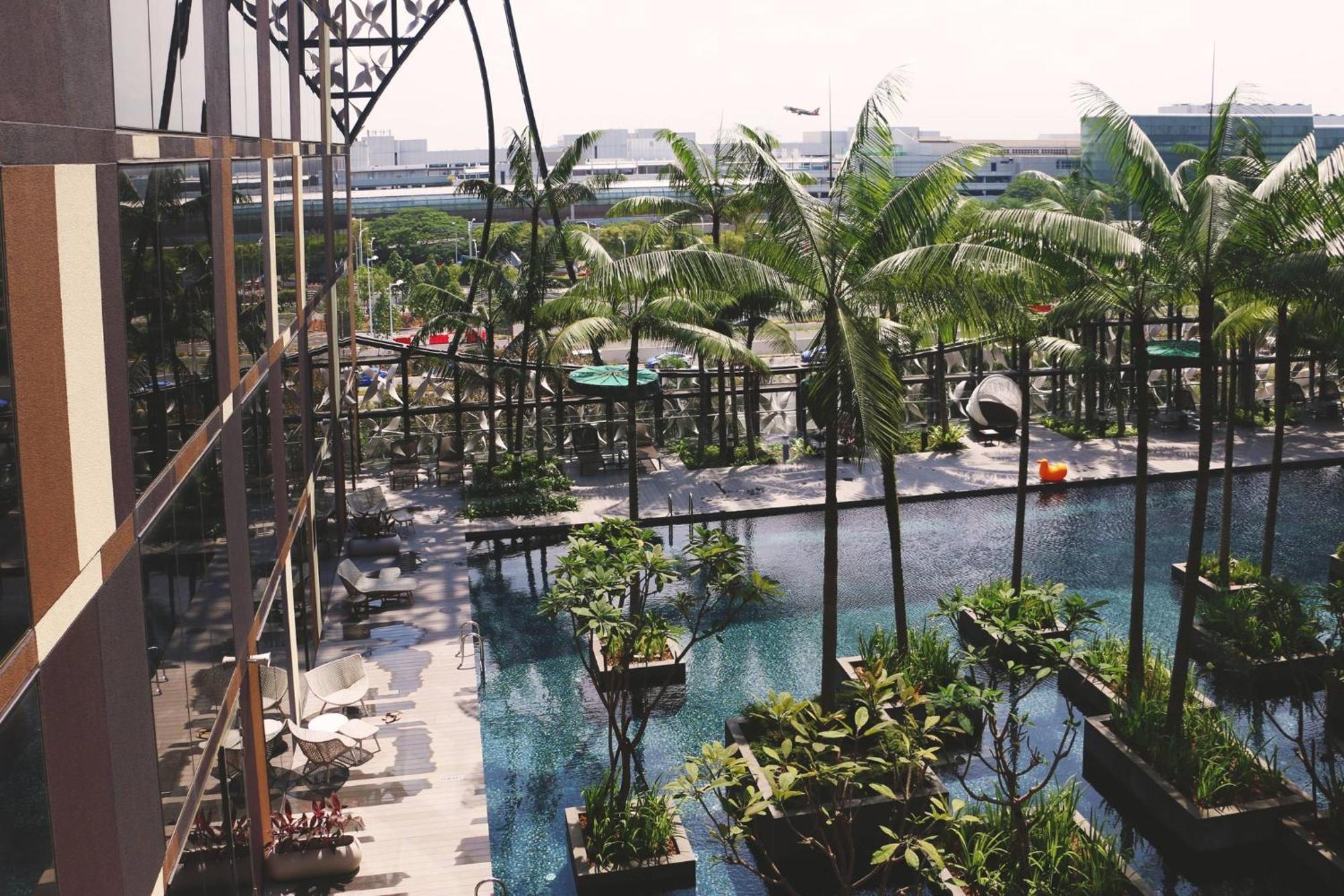 Crowne Plaza Changi Airport By Ihg Singapore Exterior photo The photo depicts a scenic view from a balcony or terrace, showcasing a luxurious swimming pool surrounded by greenery. There are several palm trees and potted plants, contributing to a tropical atmosphere. The pool area also includes lounge chairs, 